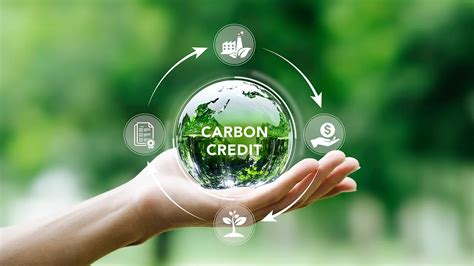 world referce|Understanding the Basics of Carbon Credits and Their Role in the .